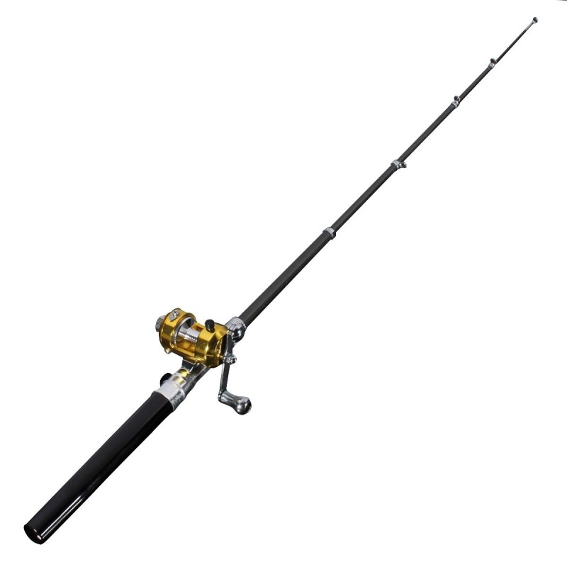 Mini telescopic fishing rod - with a golden fishing reel - foldableFishing rods