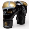 Professional boxing gloves - unisexEquipment