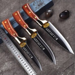 Stainless kitchen knives - setSteel