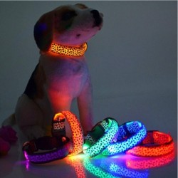 LED dog collar - safety night walk - colorful leopard printCollars & Leads