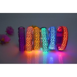 LED dog collar - safety night walk - colorful leopard printCollars & Leads