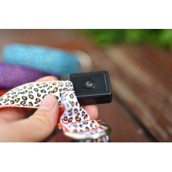 LED dog collar - safety night walk - colorful leopard printCollars & Leads