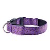 LED dog collar - safety night walk - colorful leopard printCollars & Leads