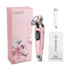 Electric face massager - skin rejuvenation - lifting - wrinkle removal - mesotherapy - electroporation - LEDSkin