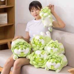 Green cabbage dog - soft pillow - toyCuddly toys