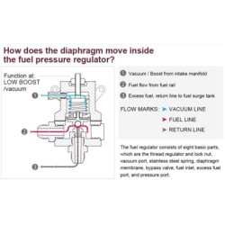 Universal fuel pressure regulator - oil gauge - adjustable hoseDiagnosis