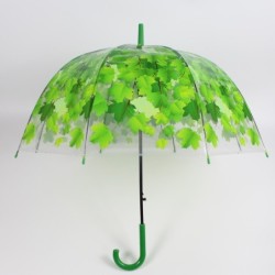 Transparent colorful umbrella - long handle - maple leavesOutdoor & Camping
