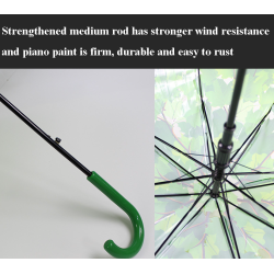 Transparent colorful umbrella - long handle - maple leavesOutdoor & Camping