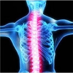 Orthopaedic back support belt - posture correction - back corrector with magnetsHealth & Beauty
