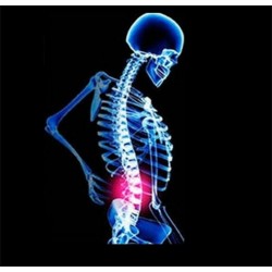 Orthopaedic back support belt - posture correction - back corrector with magnetsHealth & Beauty
