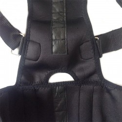 Orthopaedic back support belt - posture correction - back corrector with magnetsHealth & Beauty