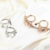 Small hoop earrings - with hanging starsEarrings