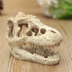 Aquarium decoration - crocodile skullDecorations