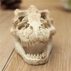 Aquarium decoration - crocodile skullDecorations