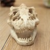Aquarium decoration - crocodile skullDecorations
