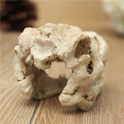 Aquarium decoration - crocodile skullDecorations
