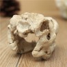 Aquarium decoration - crocodile skullDecorations