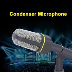 Professional studio condenser microphone - wiredMicrophones