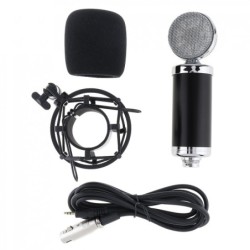 BM 5000 - professional condenser microphone - with circuit control - gold-plated diaphragmMicrophones