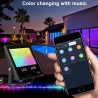 60W - Bluetooth - RGB - LED floodlight - outdoor reflector with musicFloodlights