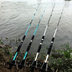 Ultralight fishing rod - two-sections - casting / spinning handleFishing rods