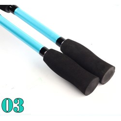 Ultralight fishing rod - two-sections - casting / spinning handleFishing rods