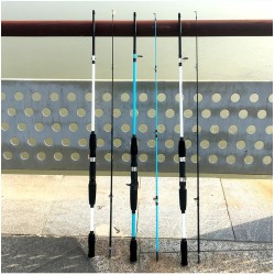 Ultralight fishing rod - two-sections - casting / spinning handleFishing rods