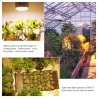 LED bulb - plant grow light - full spectrum - hydroponic - E27 - 100W - 150W - 300WGrow Lights