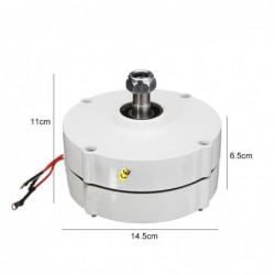Motor for wind turbine generator - 12V / 24V - 6000WWind