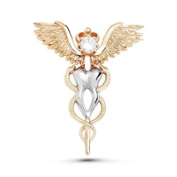 Tooth / wings / crystal - dentist broochBrooches