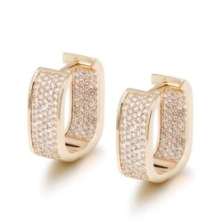Small zircon earringsEarrings