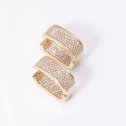 Small zircon earringsEarrings