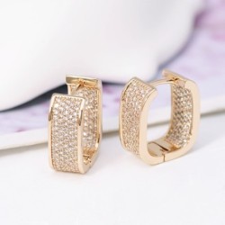 Small zircon earringsEarrings
