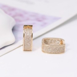 Small zircon earringsEarrings