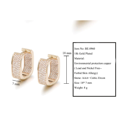 Small zircon earringsEarrings