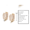 Small zircon earringsEarrings