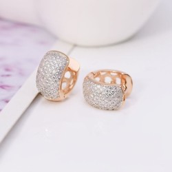 Elegant small hoop earrings - full zirconEarrings