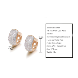 Elegant small hoop earrings - full zirconEarrings