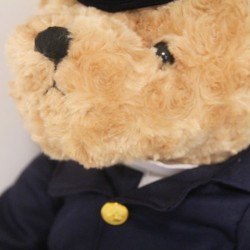 Pilot / captain teddy bear - flight attendant - plush toyCuddly toys
