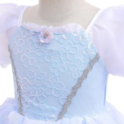 Princess blue dress - girls costumeCostumes