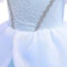 Princess blue dress - girls costumeCostumes