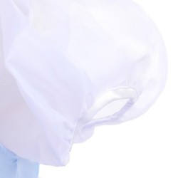 Princess blue dress - girls costumeCostumes