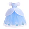Princess blue dress - girls costumeCostumes