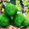 Aquarium mini moss ball - decorative nano plantDecorations