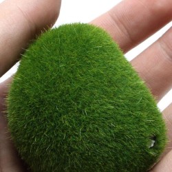 Aquarium mini moss ball - decorative nano plantDecorations