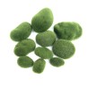 Aquarium mini moss ball - decorative nano plantDecorations