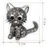Black crystal cat - broochBrooches