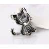 Black crystal cat - broochBrooches