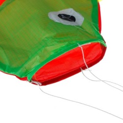 Rainbow fish - kiteKites