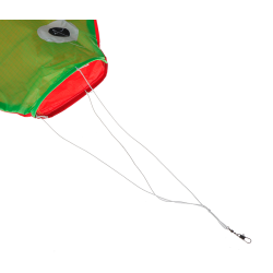 Rainbow fish - kiteKites